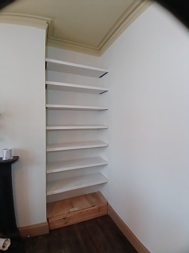 Scaffold shelves and hidden storage